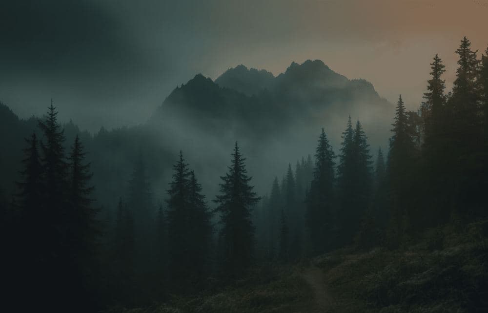 Layers of forest and mountain ridges emerging from fog